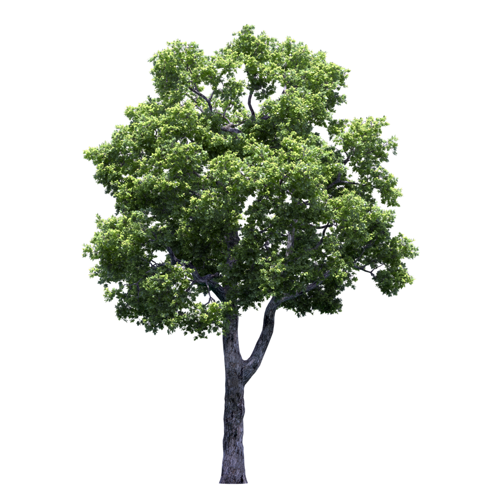 8 марта png рамки