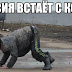 Коленки России - взгляд из Украины