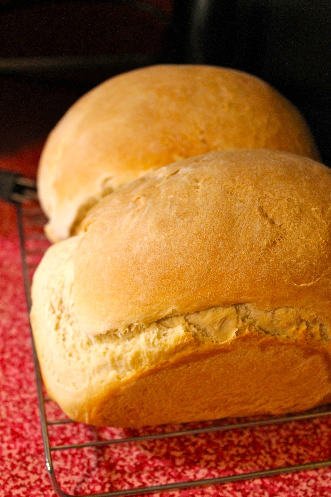 Bossy Italian Wife Fresh Sandwich Bread