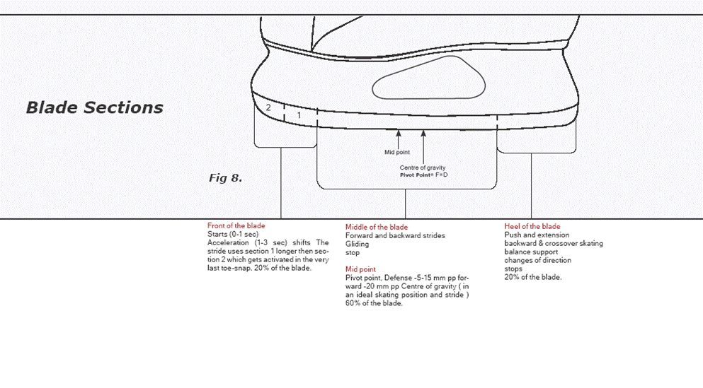 Vital Hockey Skills February 2011