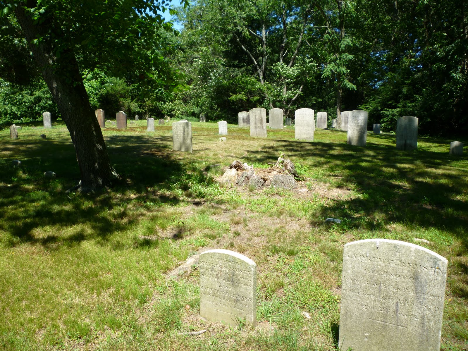 Threading needles in a haystack the genealogy journey Tombstone