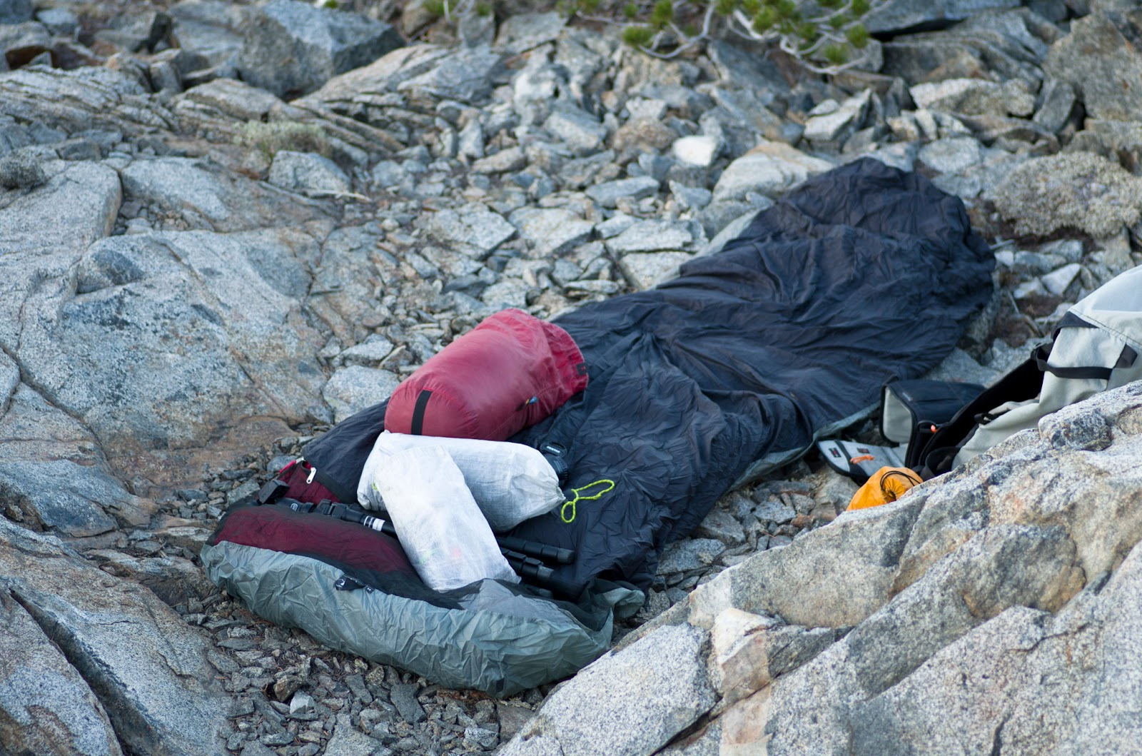 Dances with Angiosperms Mountain Laurel Designs Superlight Bivy