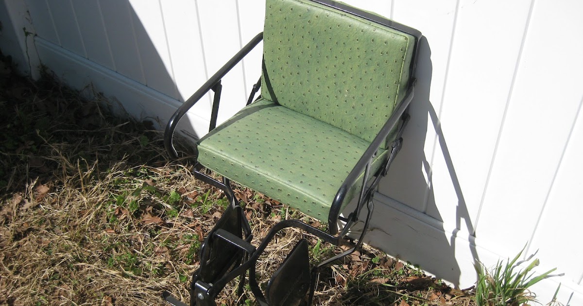 schwinn child seat