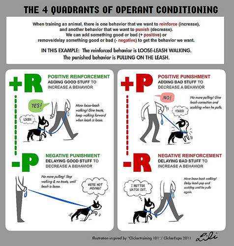Alguns Factos sobre Treino Canino 5383389900_5175a0643c