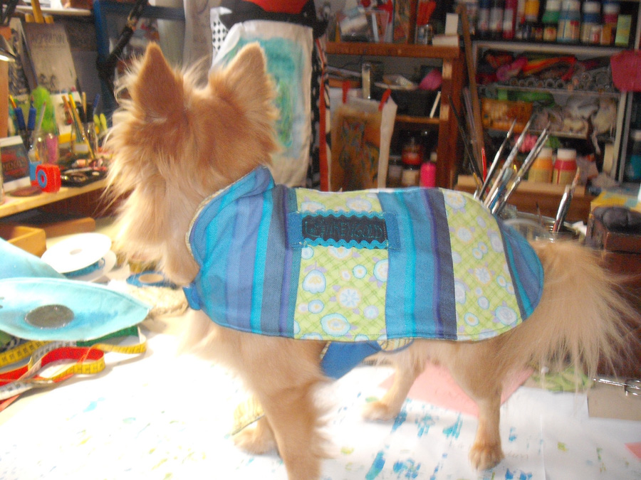 Hectors Hundetagebuch Wie sich Subjekte ungenauer Bestimmung das