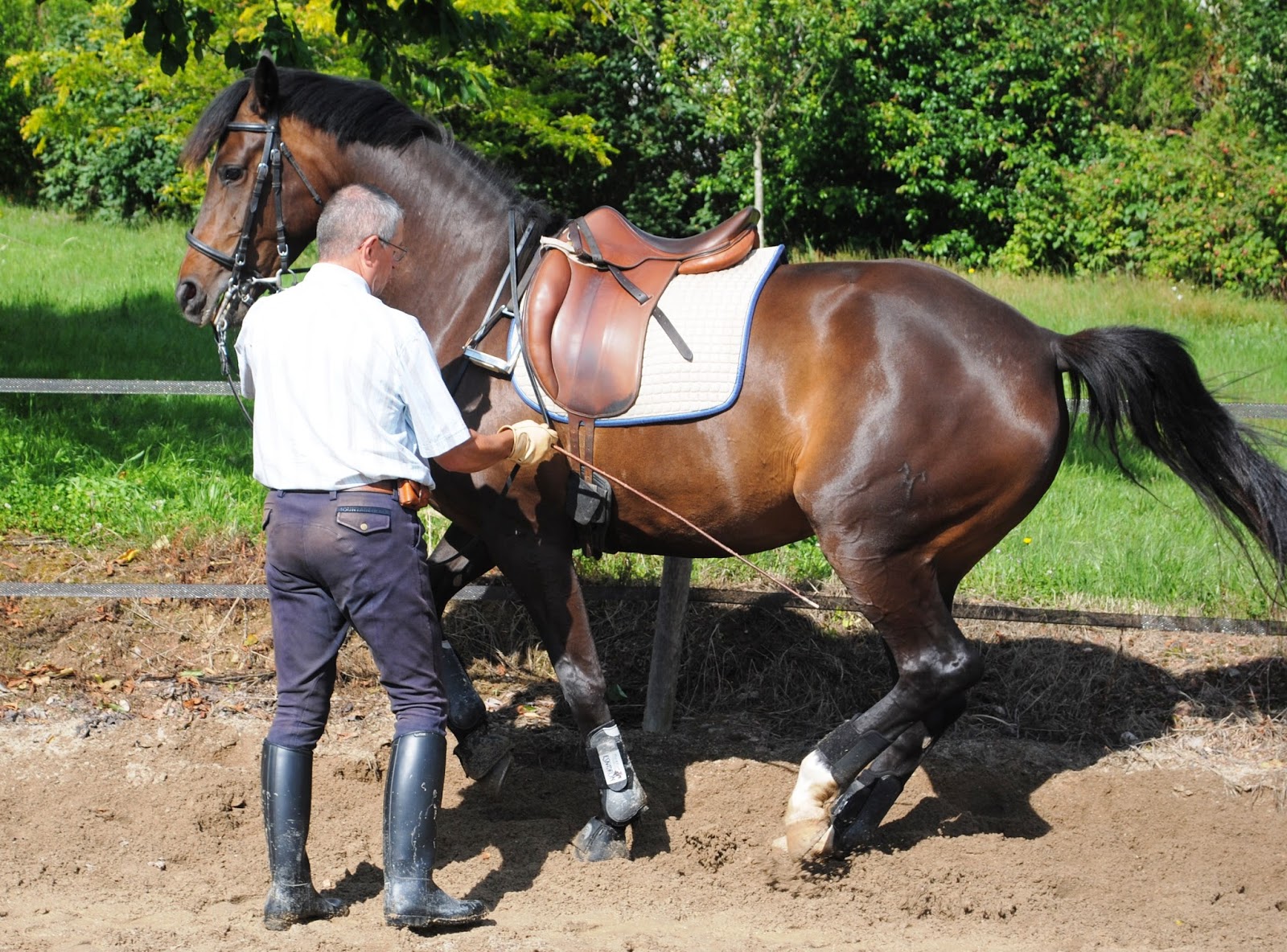 rencontre cavalier cheval