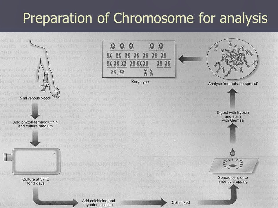 Slide 63