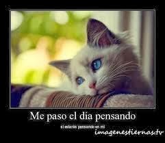 imagenes tiernas de amor para descargar imagenes tiernas de amor para descargar
