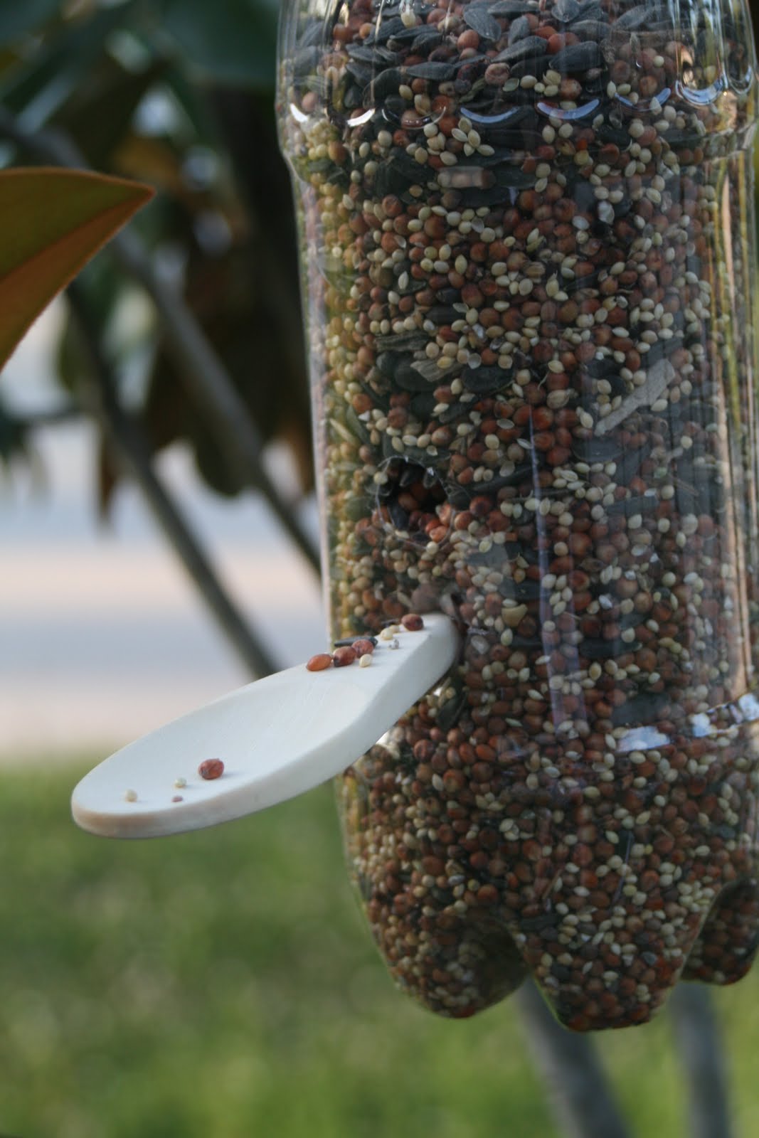 Soda Bottle Bird Feeder Craft Macaroni KID Northwest Baltimore