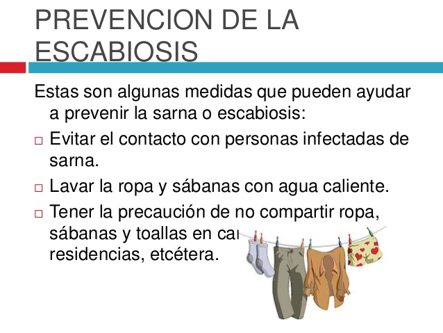 La tasa que hacer si las lombrices