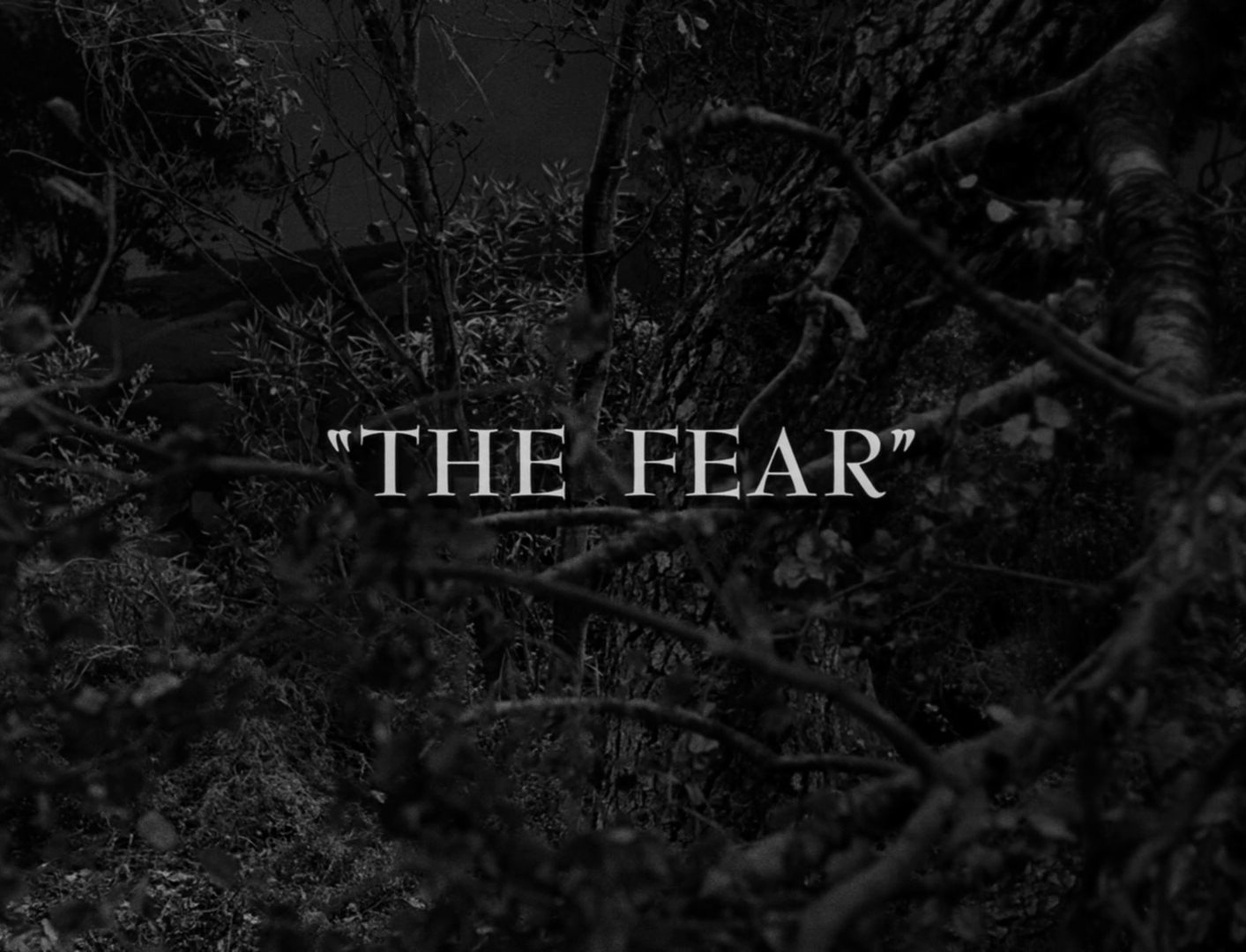 Image result for twilight zone the fear