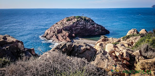 Visita a la Isla Torrosa