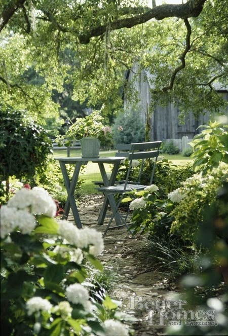 lady anne's cottage: a charming shade garden...