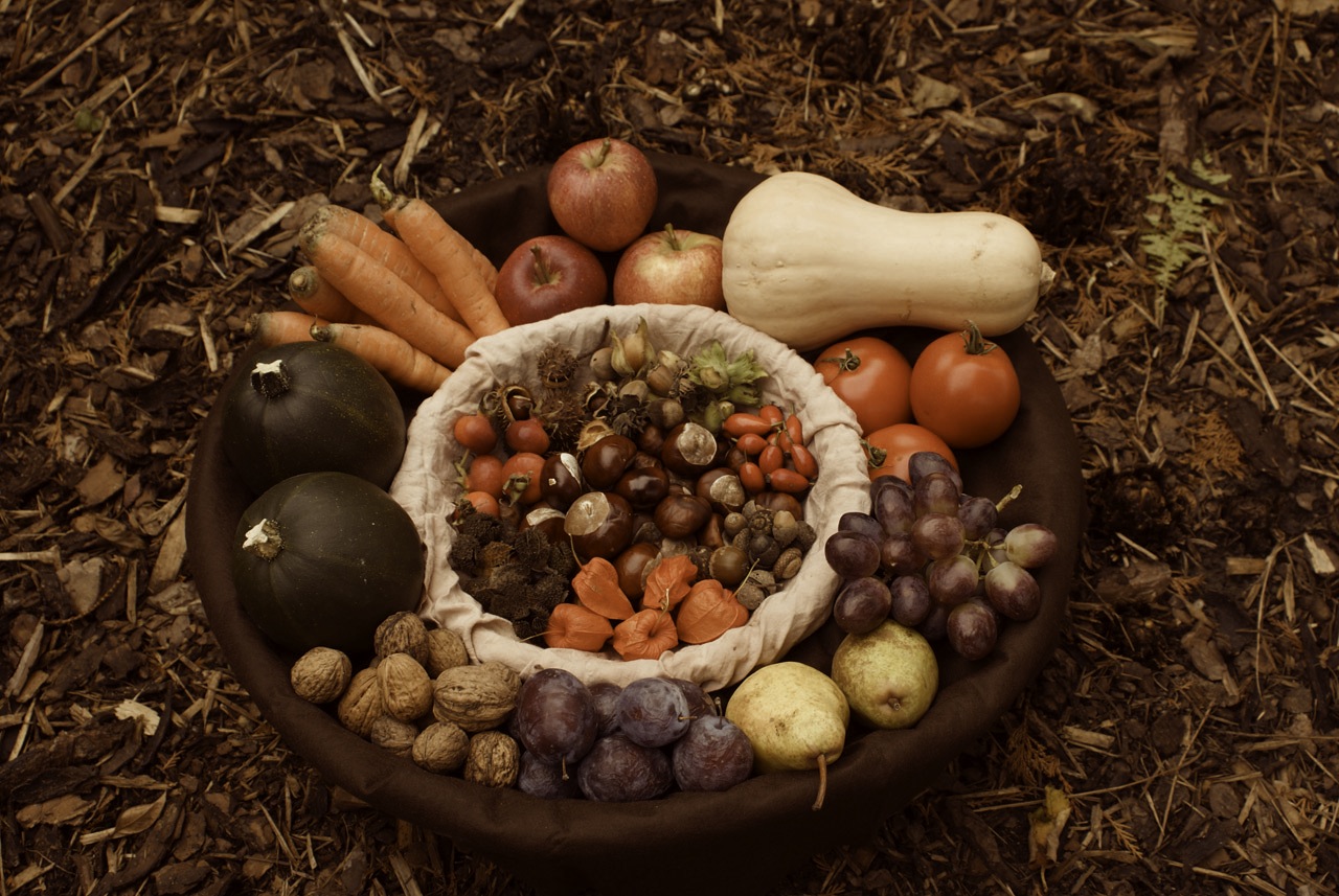 Here in the U.S., Thanksgiving Here in the U.S., Thanksgiving