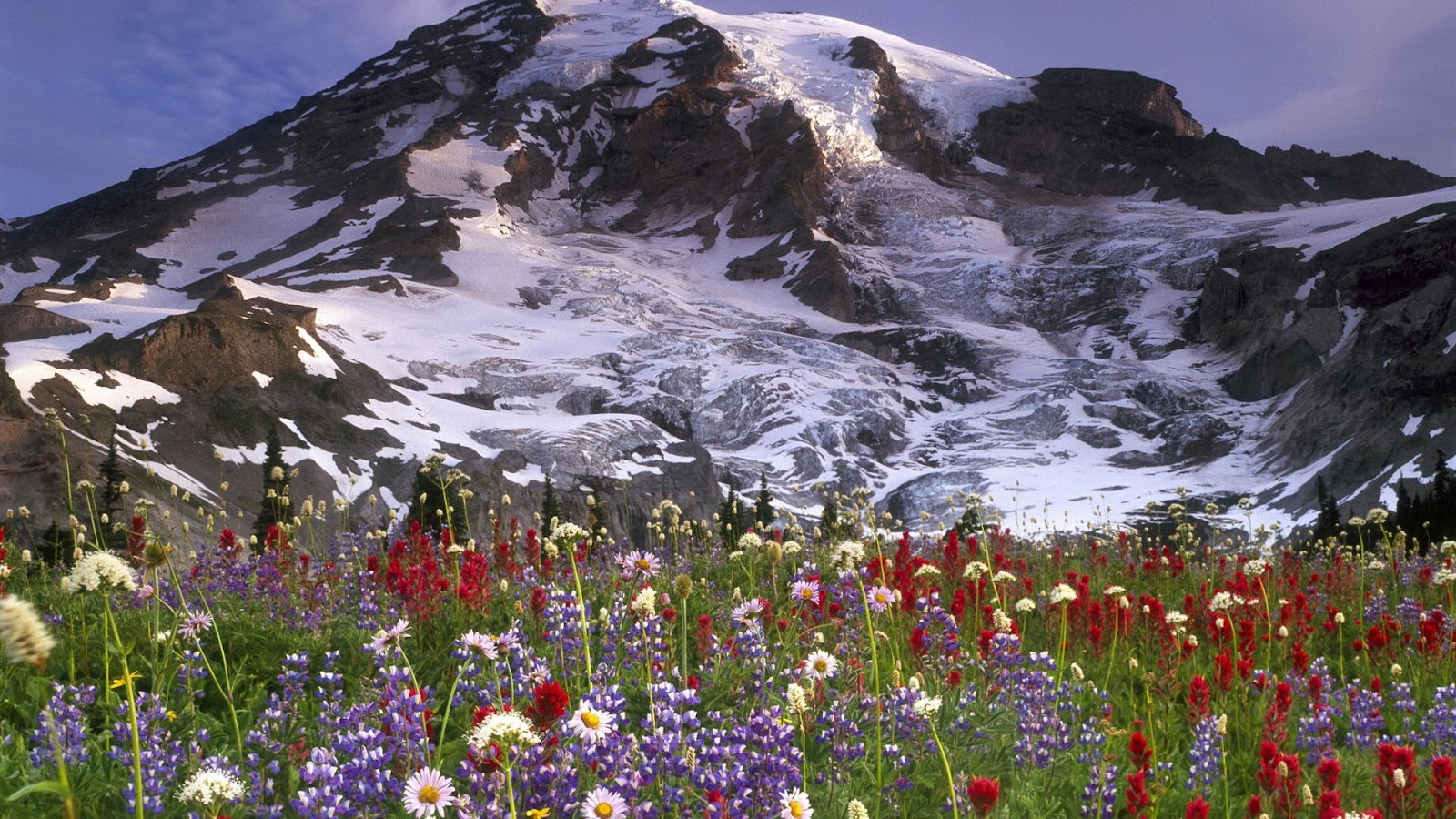 http://4.bp.blogspot.com/-Om4VogMHDII/UEEJYcNRugI/AAAAAAAAGDQ/iT0b--D7jm0/s1600/Desktop-Beautiful-high-resolution-wallpapers-34.jpg