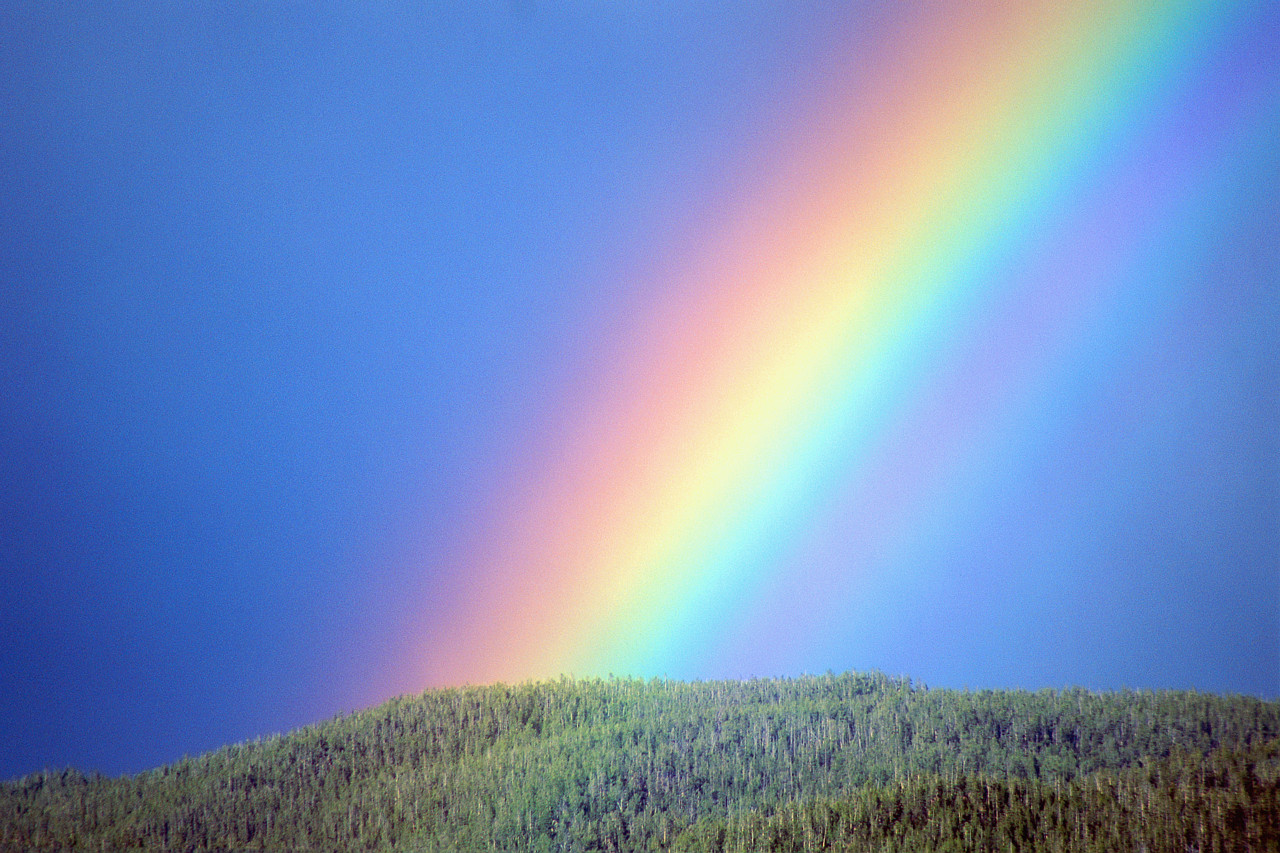 The Enchanting Heaven: Rainbow Of Friendship