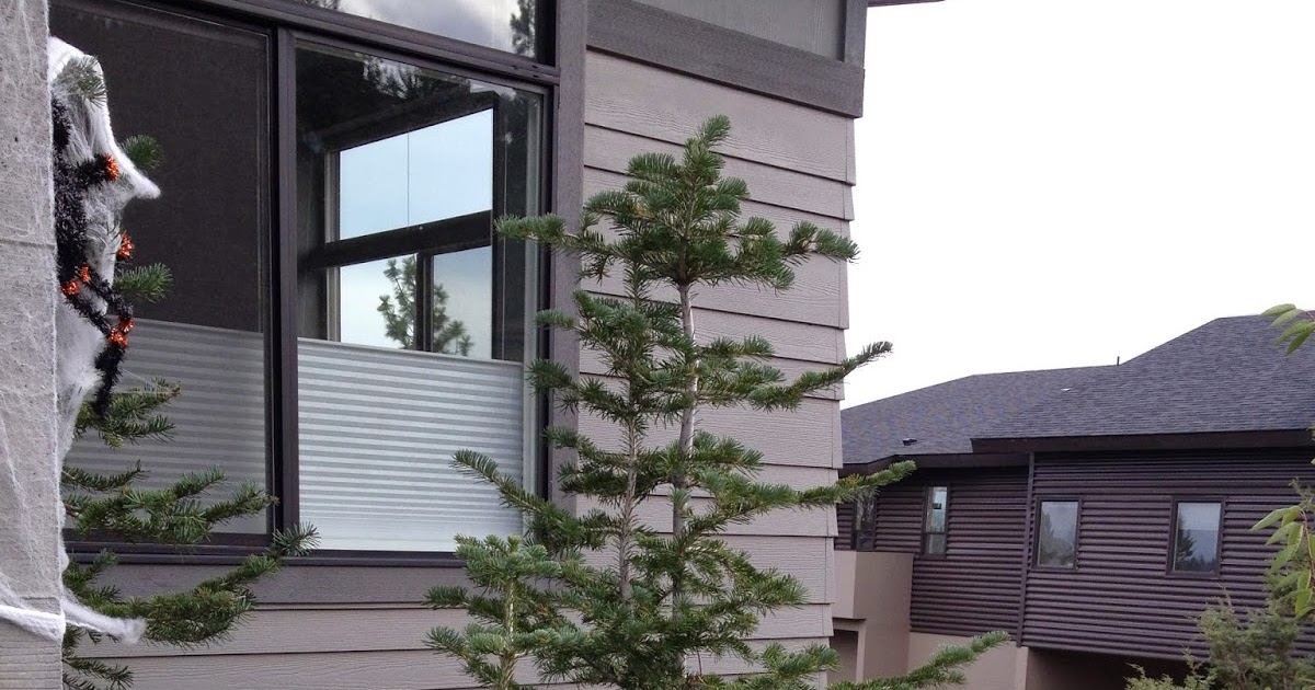 Carlseng Designs Plants for a Bend, Oregon Landscape