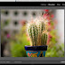 Adobe Photoshop Lightroom 5.6 Latest Version Free Download  