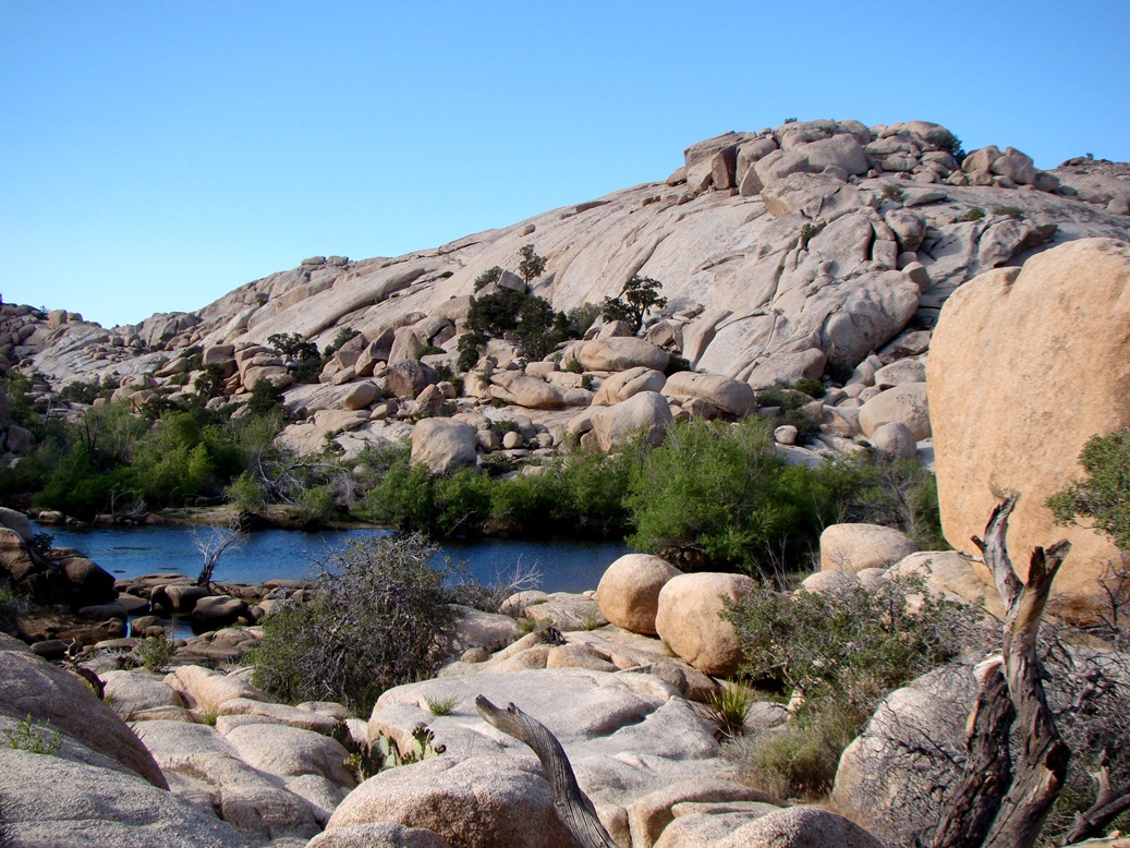 Geotripper Water in a Dry Land Joshua Tree National Park, and why
