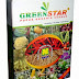 Greenstar thumbnail