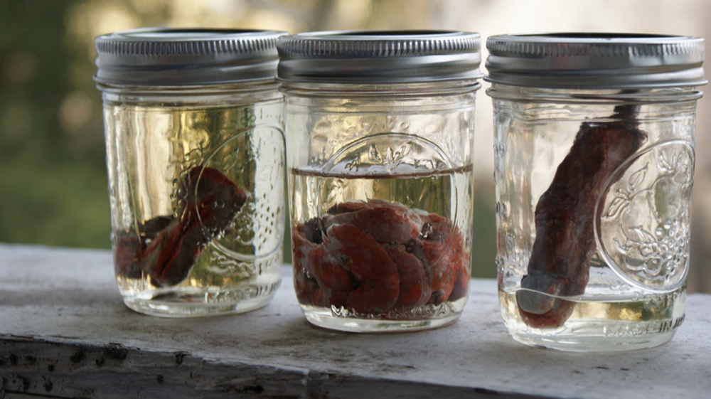 American Horror Story Inspired Preserved Organs DIY Basement Horrors