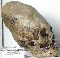 Nephilim Hybrids