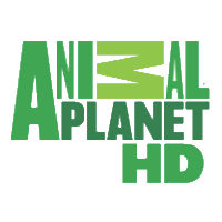 Animal Planet izle Animal Planet izle