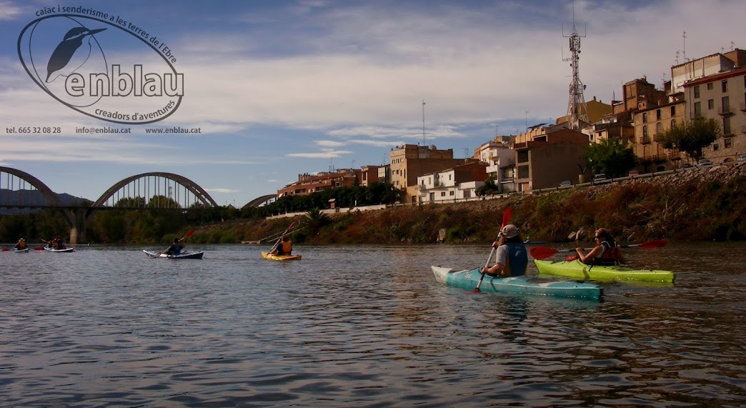 piragüisme a l'Ebre grup de gent baixant en piragua davant de Móra d'Ebre