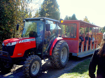 tractor and wagon, Verger Ti-Paul, apple orchard, pick your own apples, copyright yearling blog