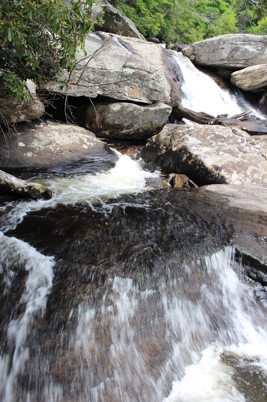 Cumberland Gal Grandfather Mountain Camping Trip
