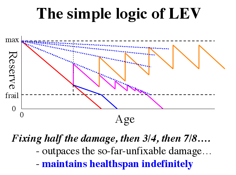 Four Longevity Scenarios for 2030s and beyond