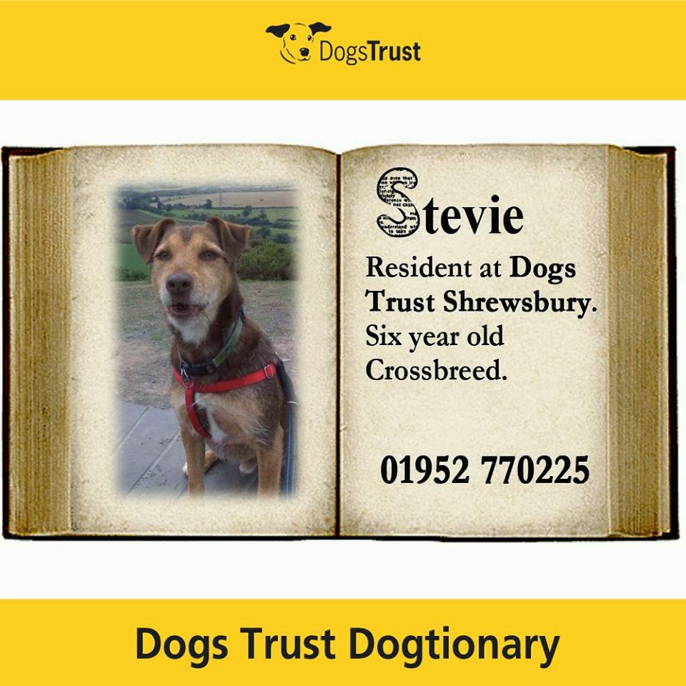 Dogs Trust Dogs Trust Dog'tionary