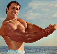Arnold Body Builder Pictures