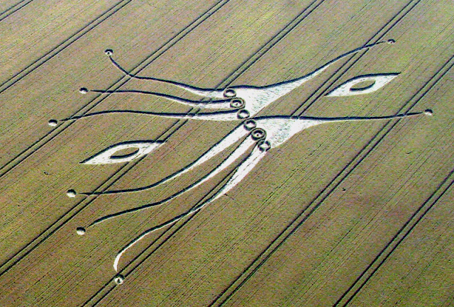 #Misterio en Salta: aparecieron círculos OVNI en campos de trigo#Nuevos Círculos de las Cosechas en 2011 al 2015 - Página 11 20120726+pulpo+4