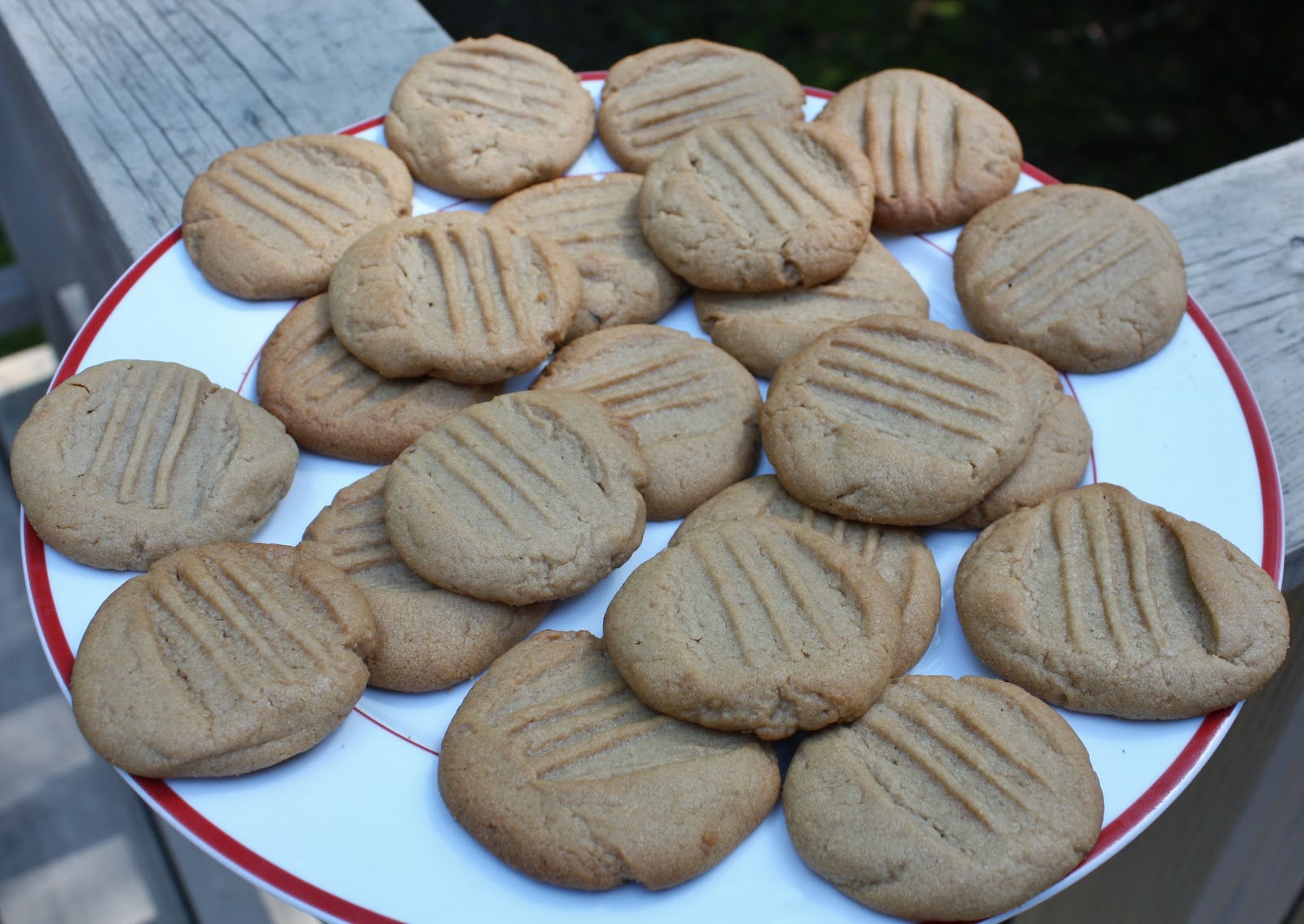 Best of Long Island and Central Florida Peanut Butter & Chocolate