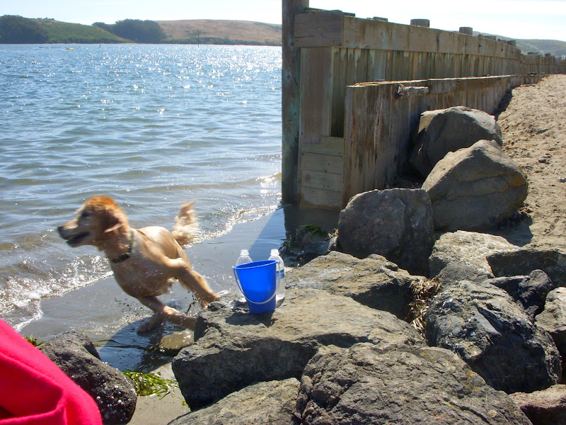 Honey's Treasures Camping Trip to Dillon Beach