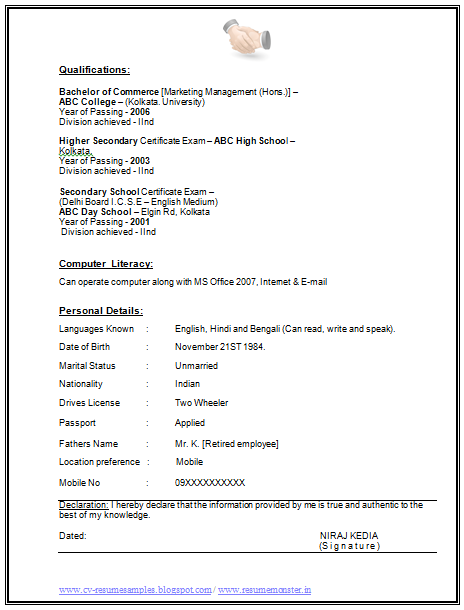 two page resume format example