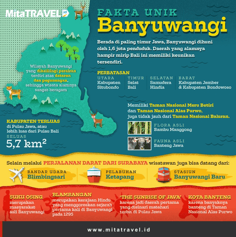 Fakta Unik Tentang Travel Denpasar Bali Banyuwangi