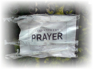 request god Answer bisexual prayer request god Answer bisexual prayer