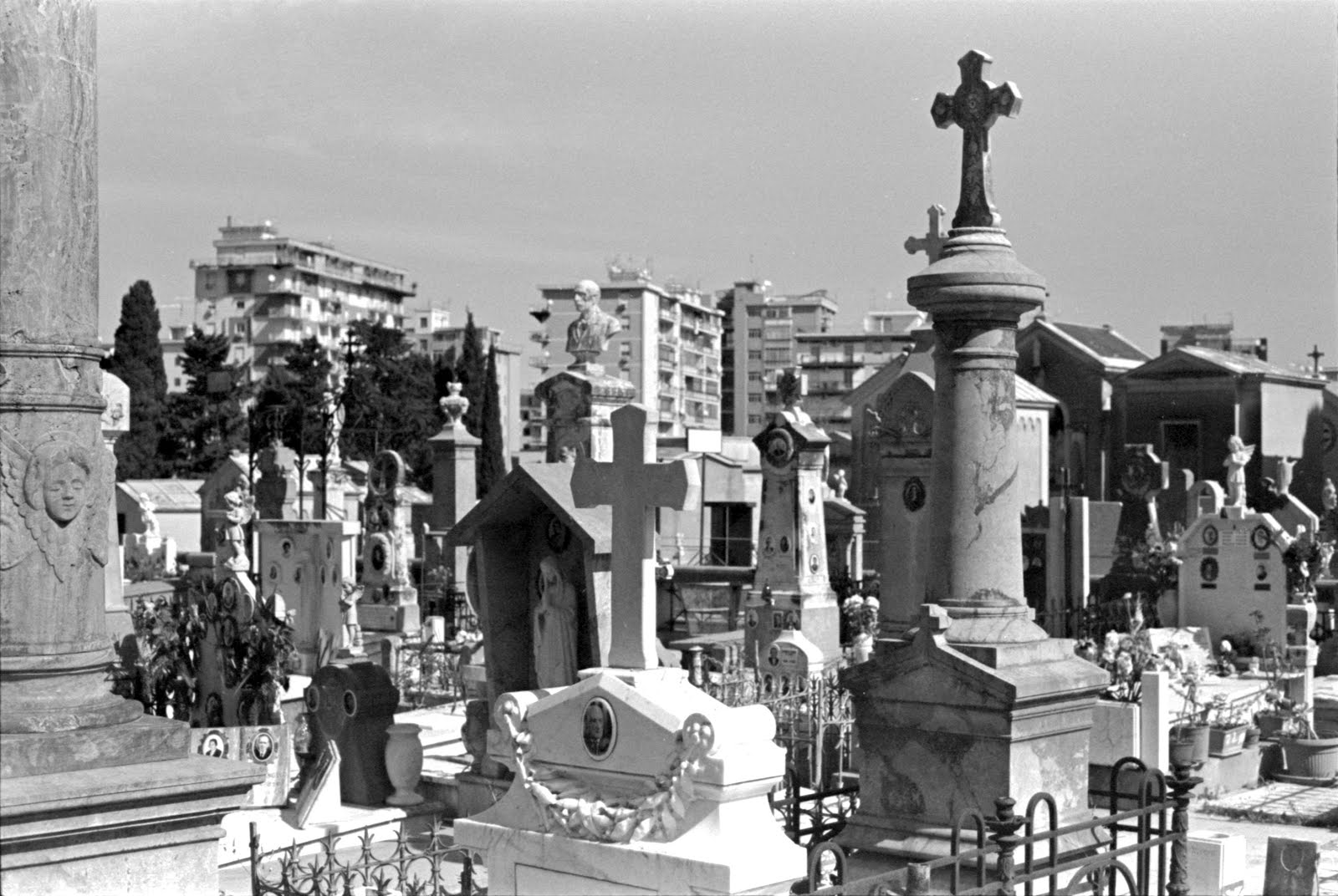 City of the Dead, Palermo, 2019.