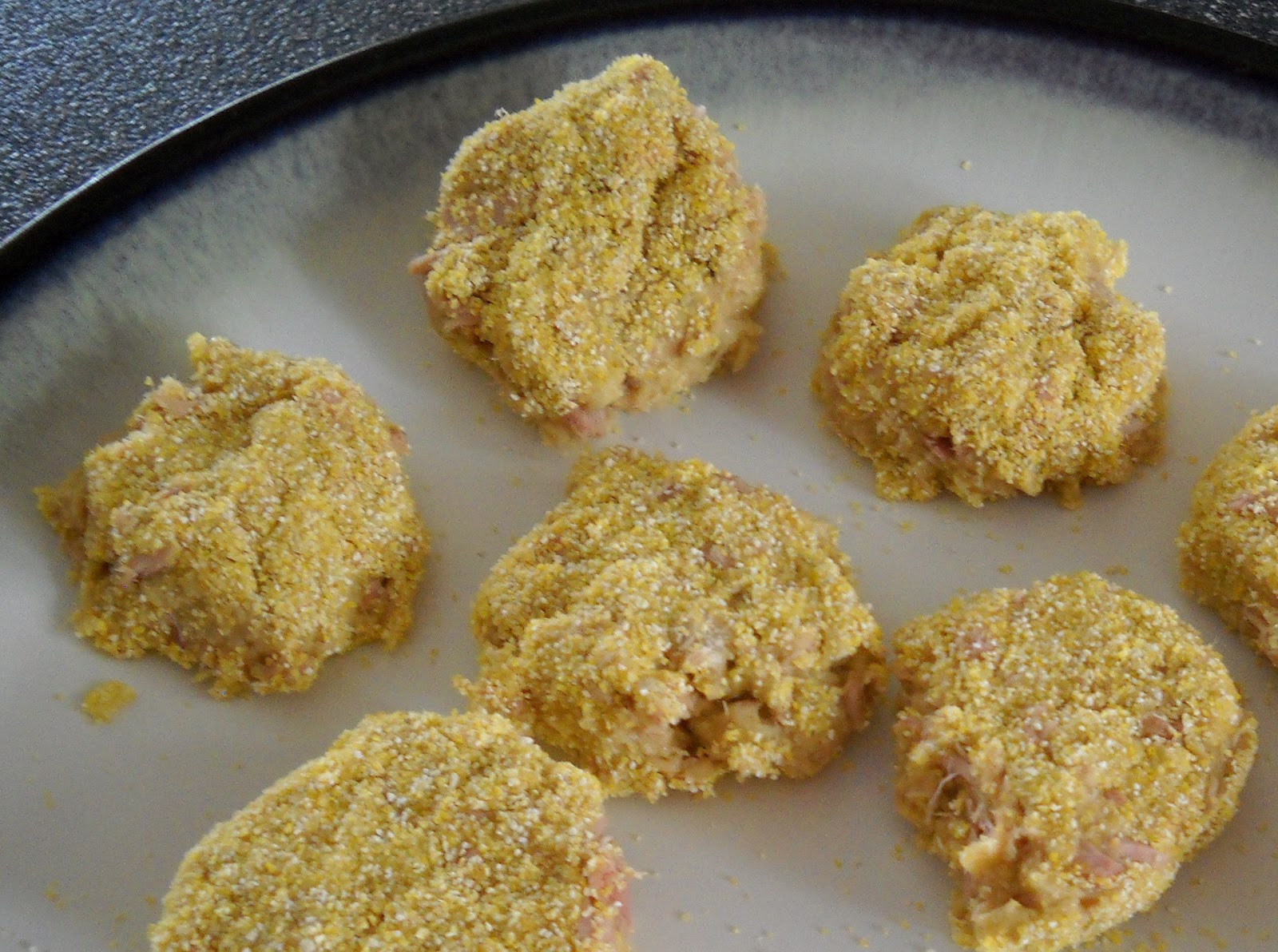 no longer a grim girl Tuna Patties with Health One Meal Replacement