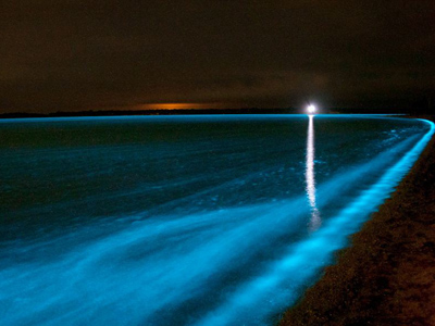 Danau Australia Berwarna Biru Seperti Lampu Neon