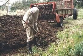 TÉCNICO EN PRESERVACIÓN DE LOS RECURSOS NATURALES