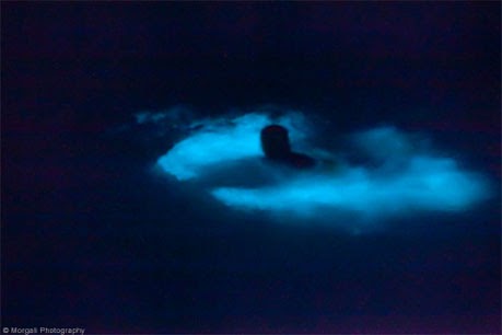 Vieques Island Bioluminescent Bay Tours Vieques Island Bioluminescent Bay Tours