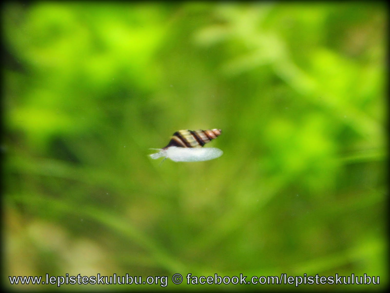 http://4.bp.blogspot.com/-OqYdTP_UCQs/VUj_aPWFWnI/AAAAAAAAFd4/8vZxDuNc5Wk/s1600/IMG_4521.JPG
