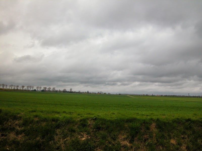 rencontres virologie vegetale