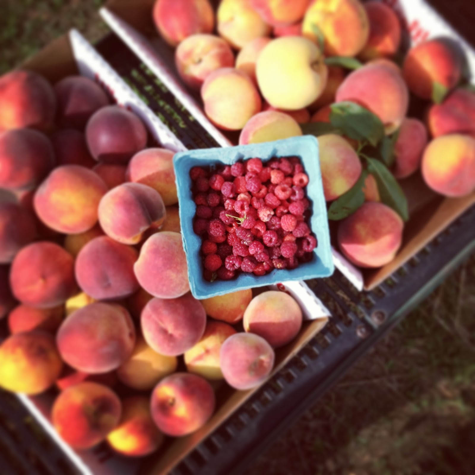 Intrinsic Beauty Farm to Table Spelt Pancakes with Stewed Peaches