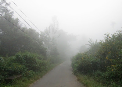 Road towards St. Joseph's UPS