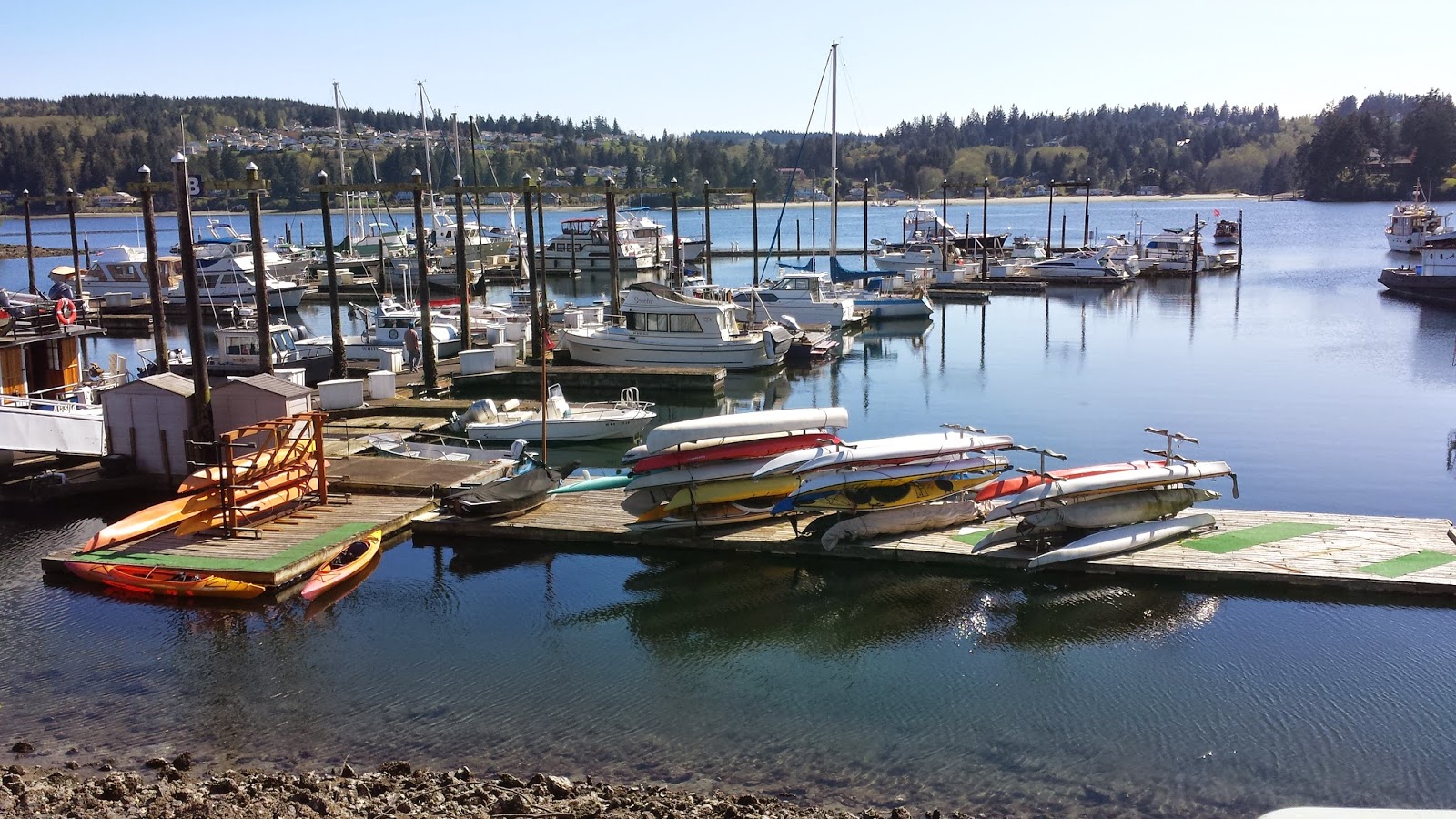 The Port Ludlow Blog Kayaking Ludlow Bay