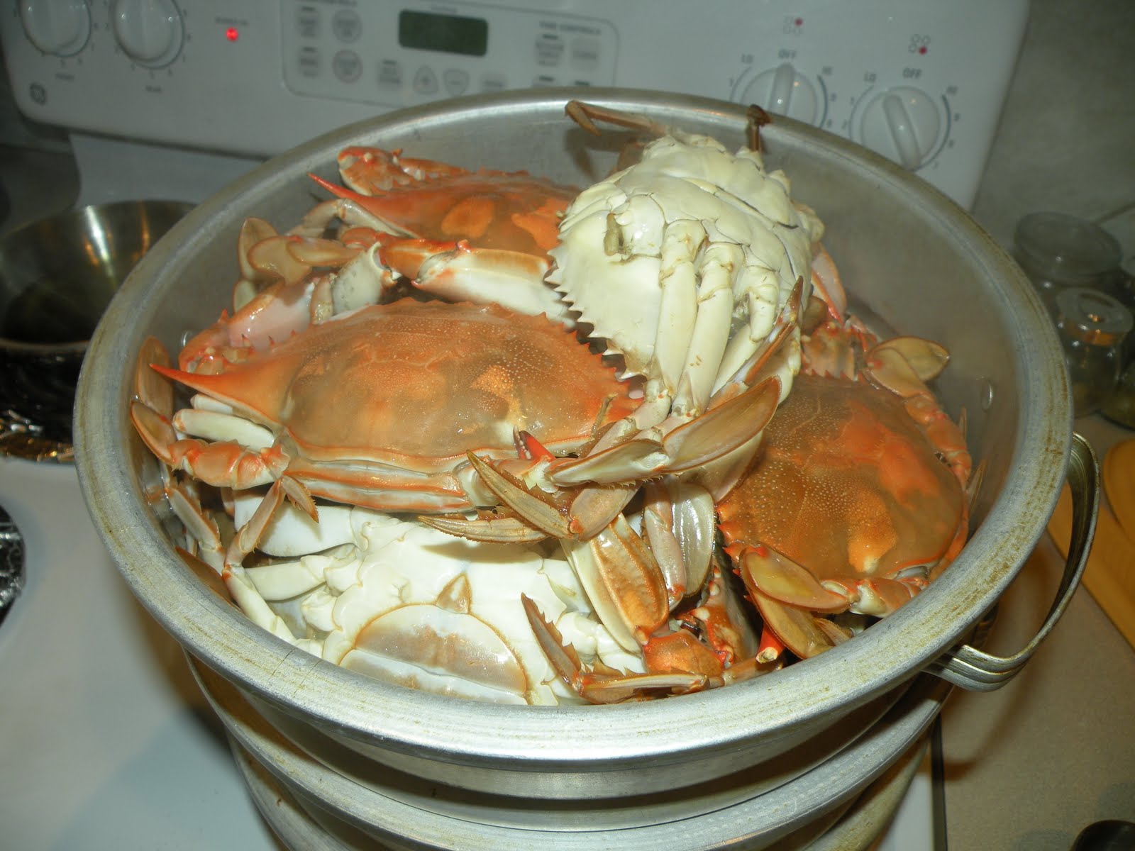 Crabs can be setamed in 30 minutes